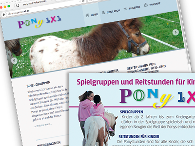 Pony1x1